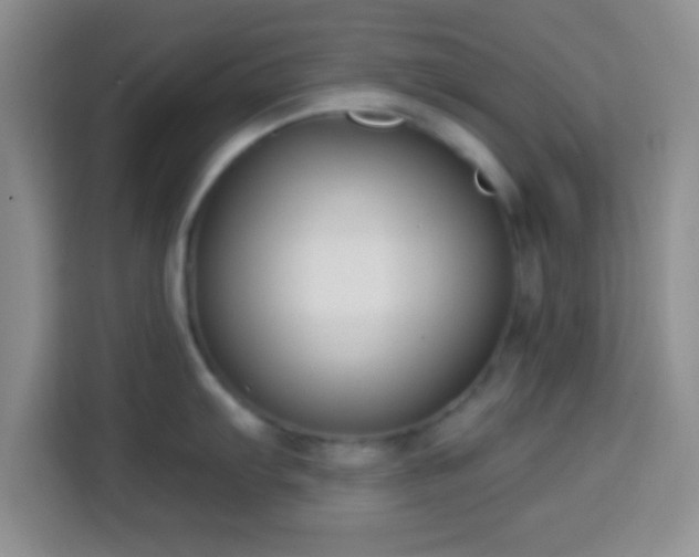 X0000113941103200910021257