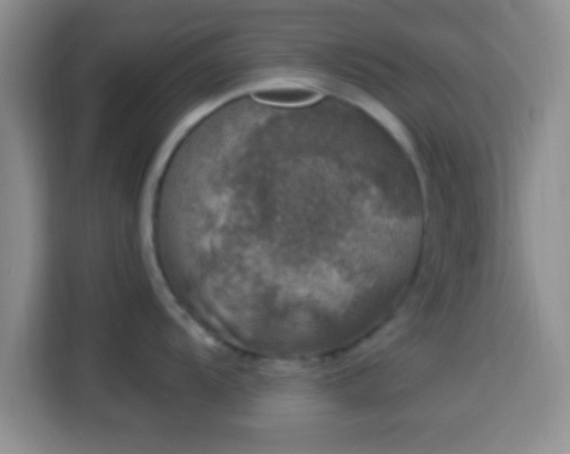 X0000113941104200910021257