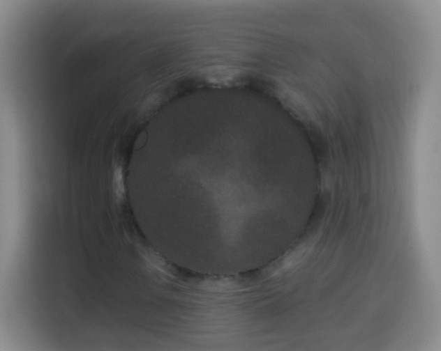 X0000113941106200910021257