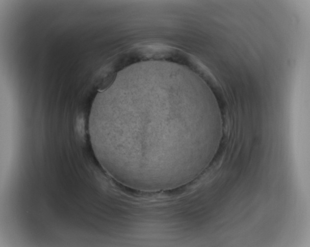 X0000113941108200910021257