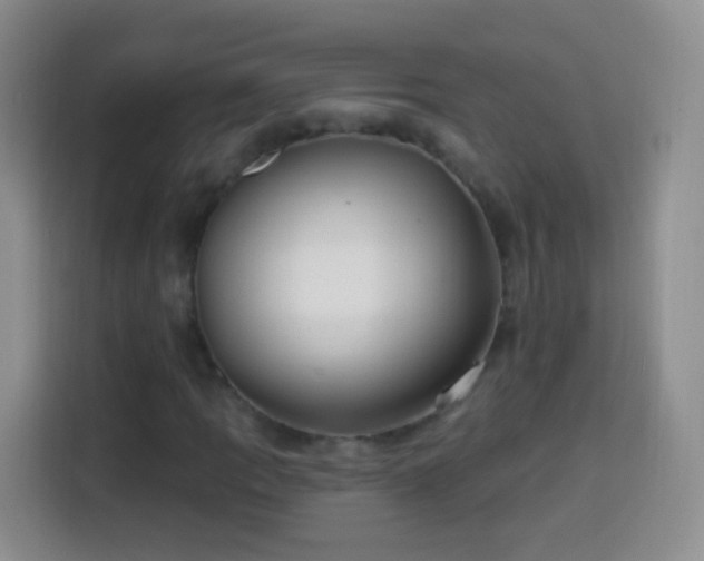 X0000113941109200910021257