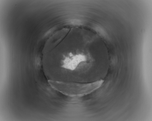 X0000113941110200910021257