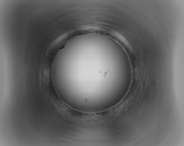 X0000113941111200910021257