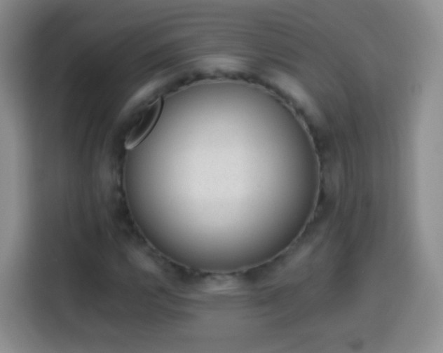 X0000113941112200910021257