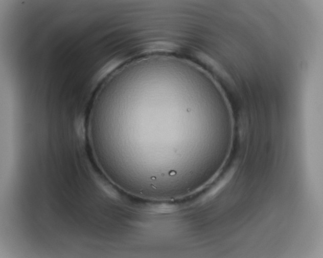 X0000113941113200910021257