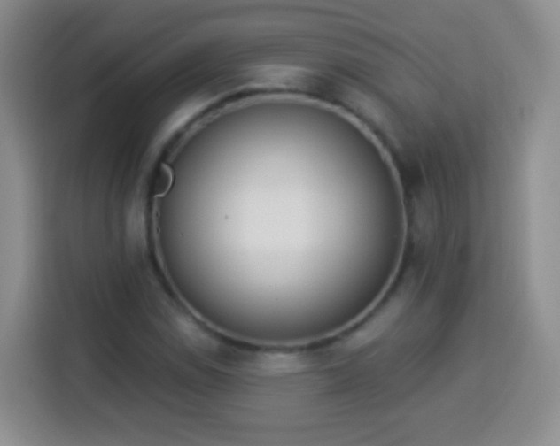 X0000113941114200910021257