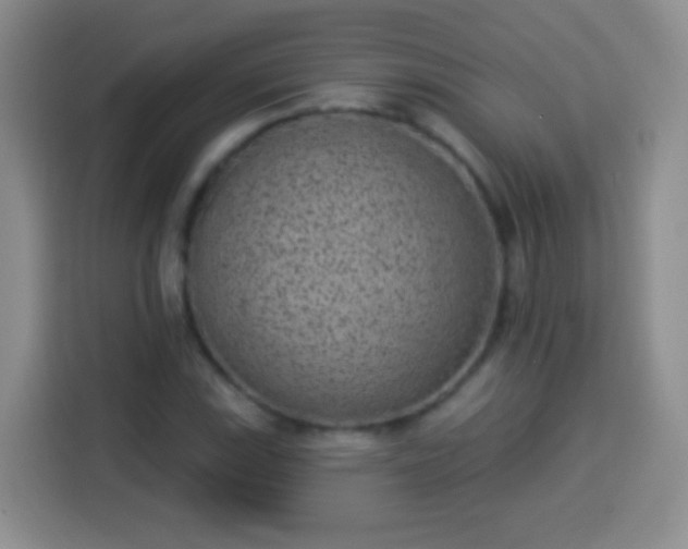 X0000113941115200910021257