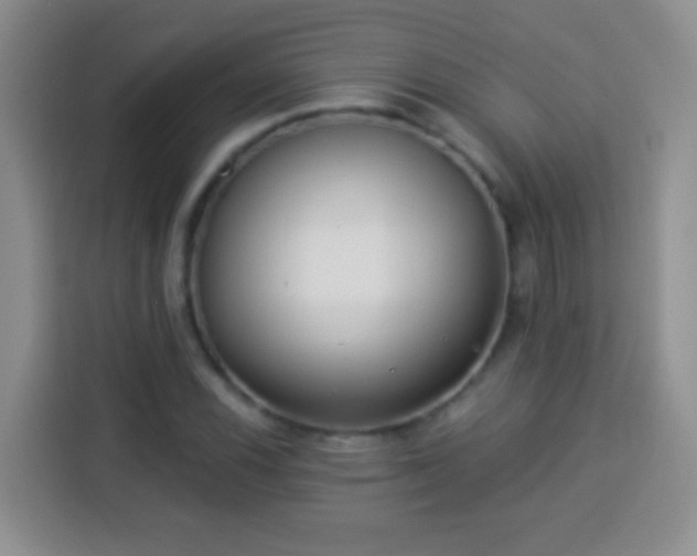 X0000113941116200910021257