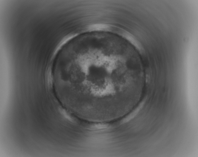 X0000113941117200910021257