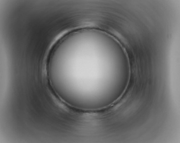 X0000113941118200910021257