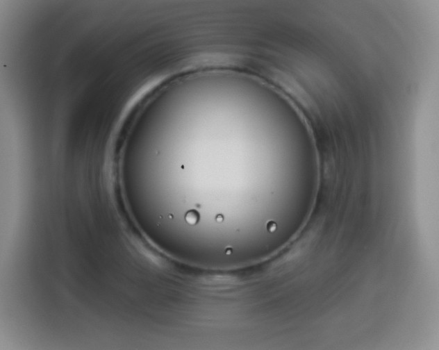 X0000113941119200910021257