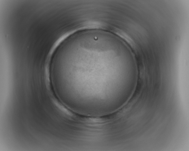 X0000113941120200910021257