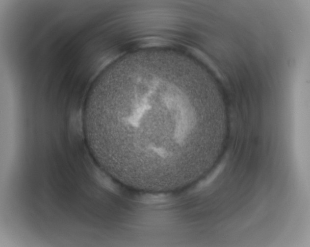 X0000113941121200910021257