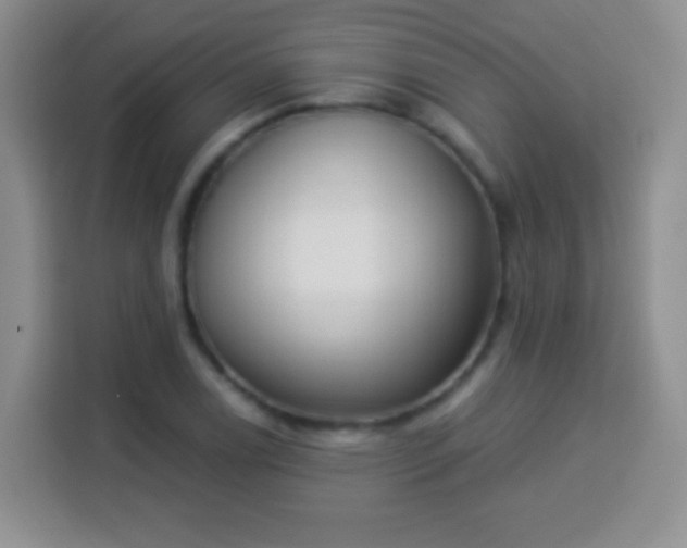 X0000113941122200910021257