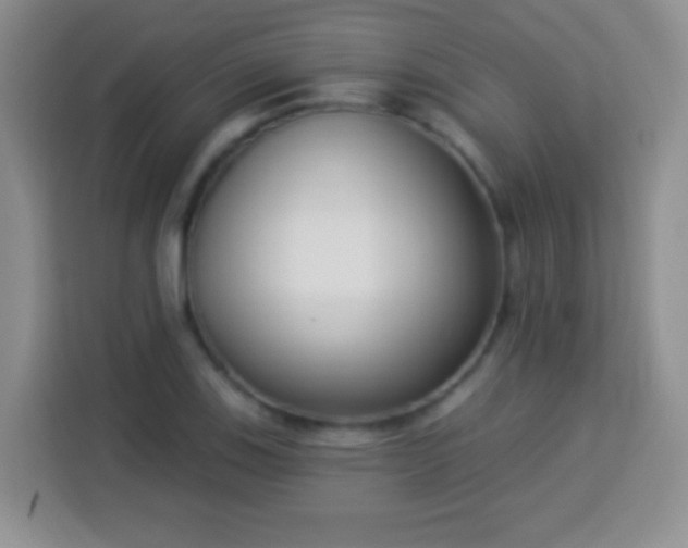 X0000113941123200910021257