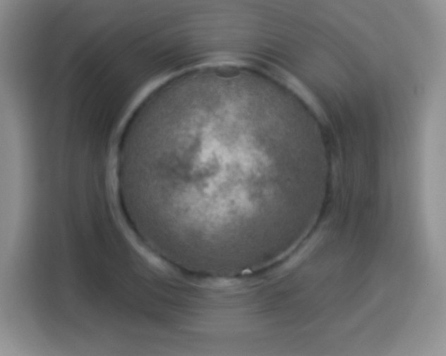 X0000113941124200910021257