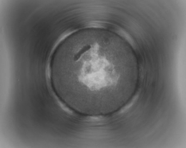 X0000113941125200910021257