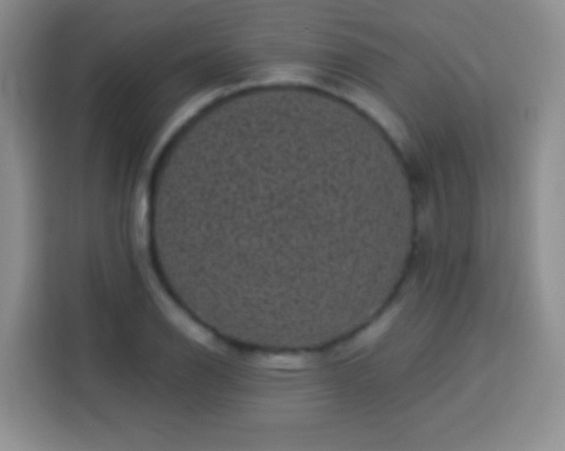 X0000113941126200910021257