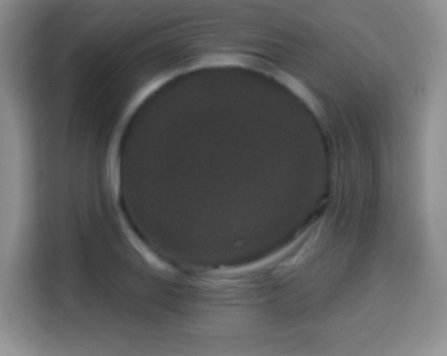 X0000113941127200910021257