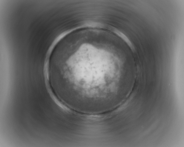 X0000113941128200910021257