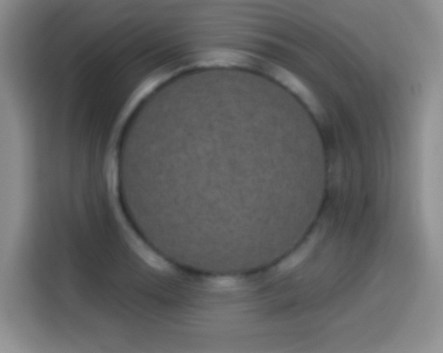 X0000113941130200910021257