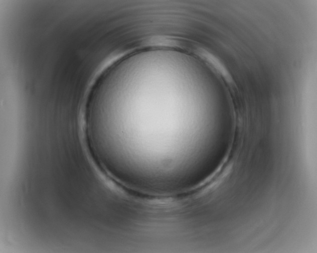 X0000113941133200910021257