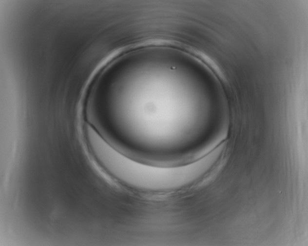 X0000113941134200910021257