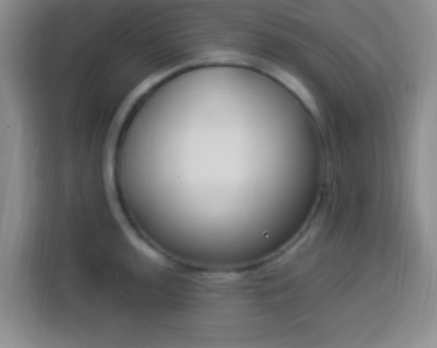 X0000113941136200910021257