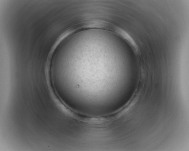 X0000113941138200910021257