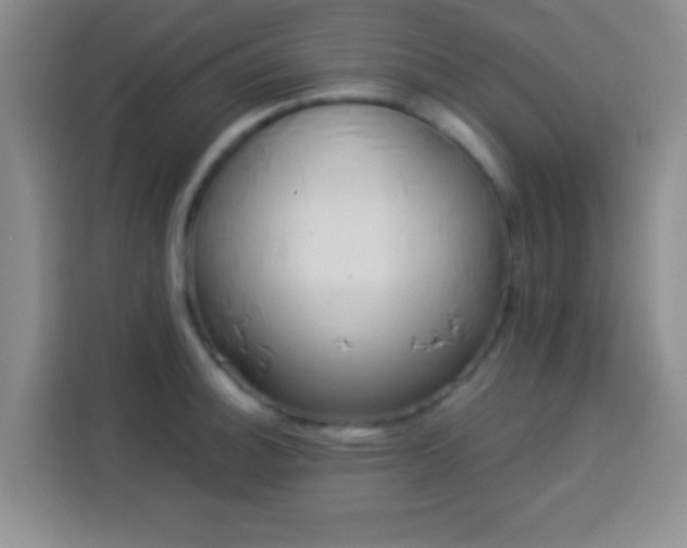 X0000113941140200910021257