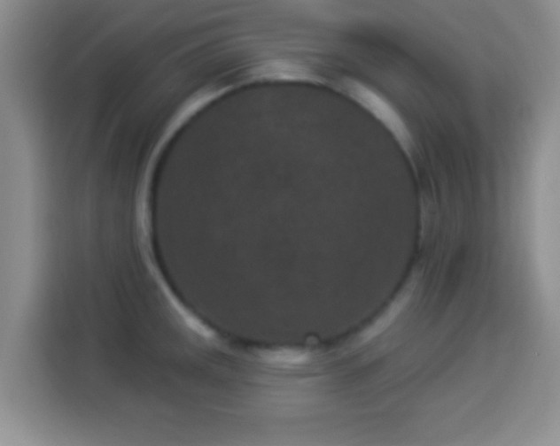 X0000113941141200910021257