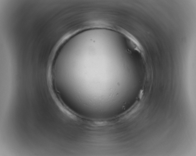 X0000113941144200910021257