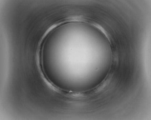 X0000113941147200910021257