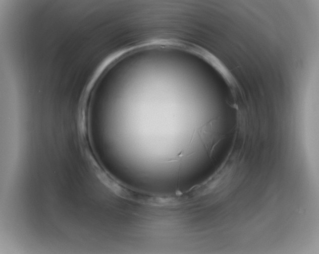 X0000113941148200910021257