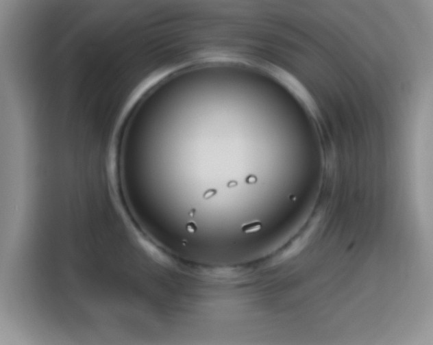 X0000113941149200910021257