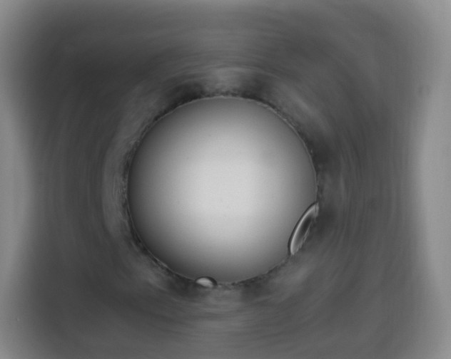 X0000113941153200910021257