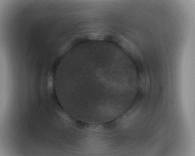 X0000113941154200910021257