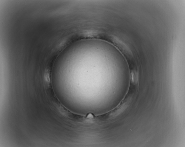 X0000113941155200910021257