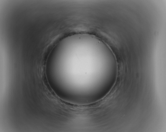 X0000113941157200910021257