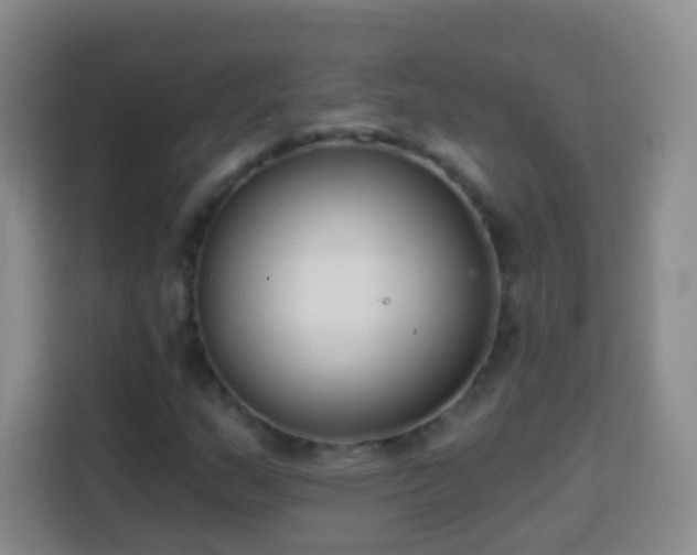 X0000113941159200910021257