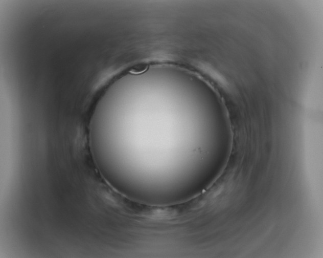 X0000113941160200910021257