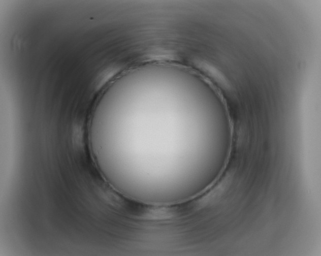 X0000113941162200910021256