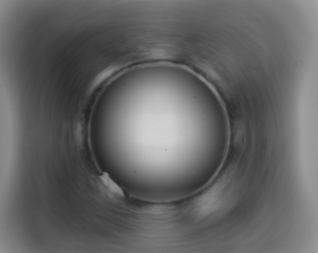 X0000113941163200910021256