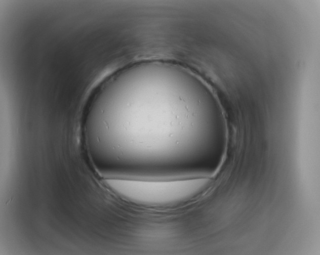 X0000113941165200910021256