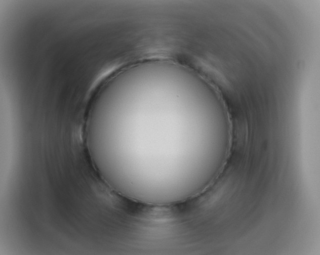 X0000113941166200910021256