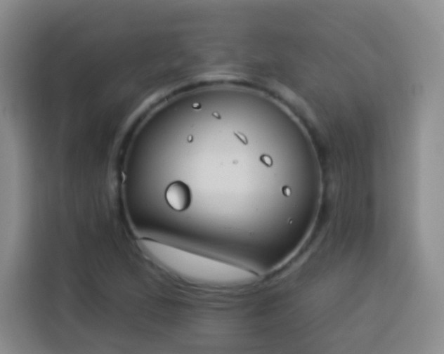 X0000113941167200910021256