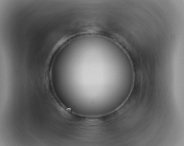 X0000113941168200910021256