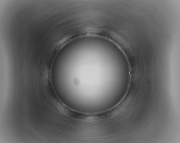 X0000113941169200910021256