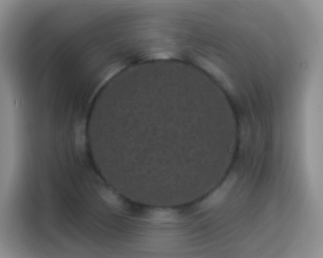 X0000113941170200910021256