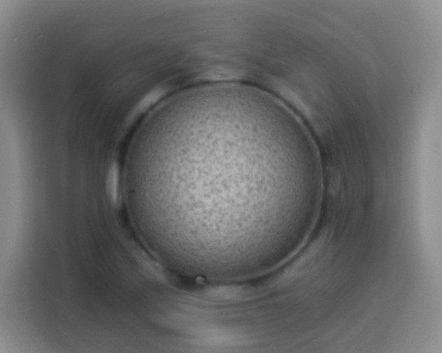 X0000113941171200910021256